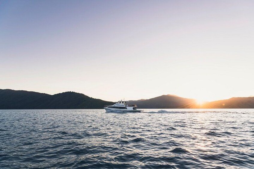 Cougar Line Sunset Queen Charlotte Sound Boat Horizon 5