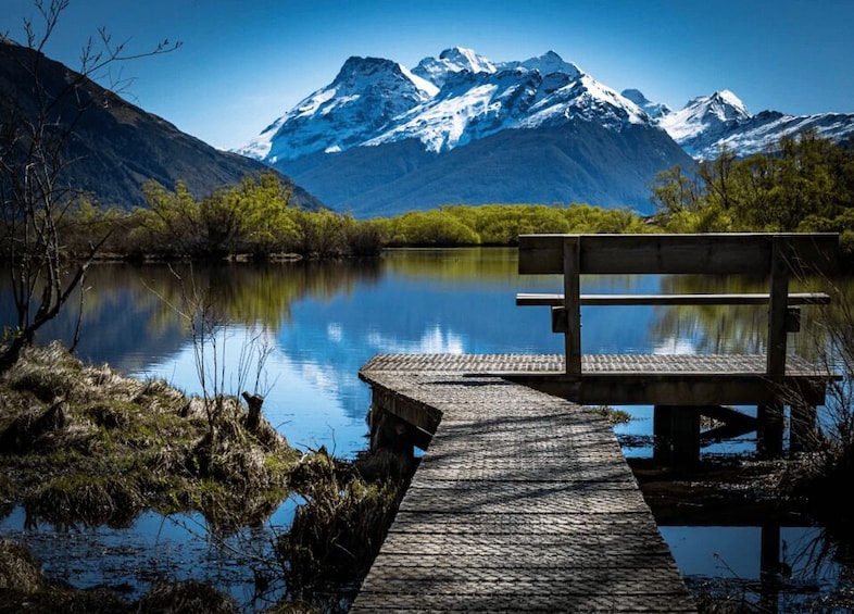 Picture 15 for Activity Glenorchy Kiwi Special Tour, from Queenstown 3