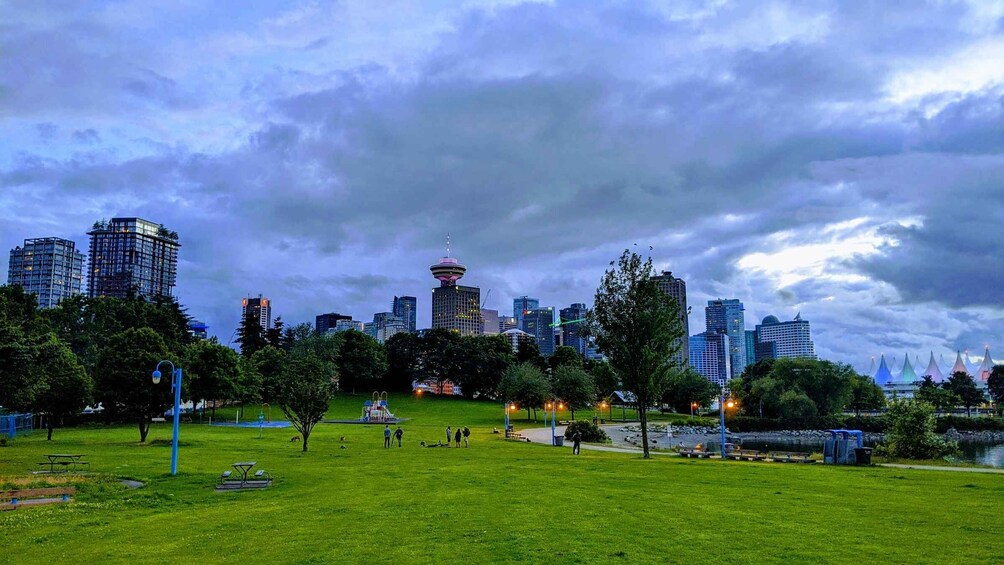 A park with green grass, trees, and a city skyline in the background. 3