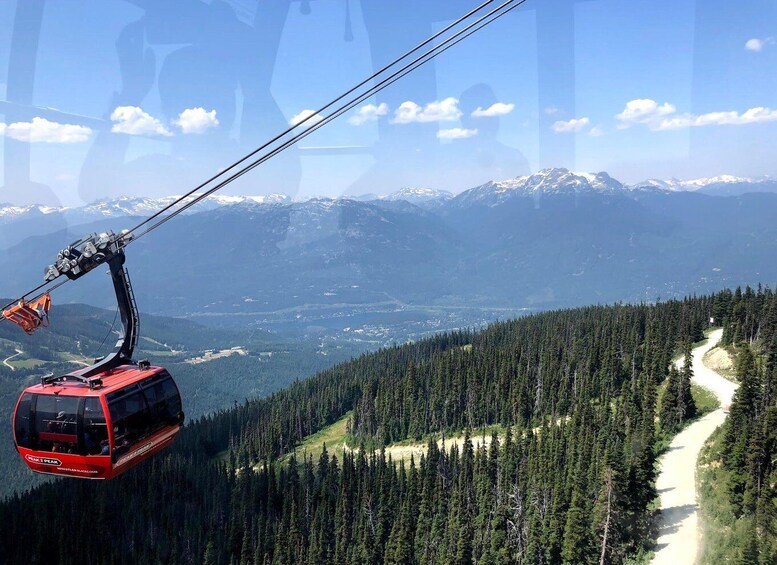 A cable car suspended over a forested mountain area with a clear sky and distant snow-capped peaks. 5