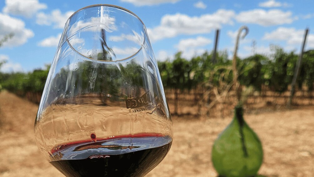 A wine glass with red wine, a green gourd, and a vineyard in the background. 1
