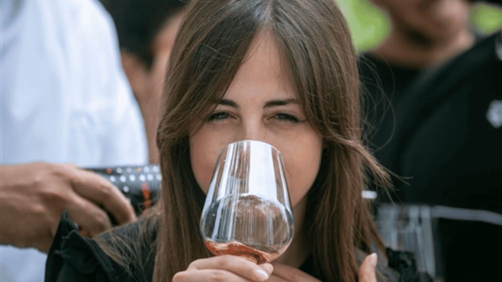 A person holding a wine glass. 1