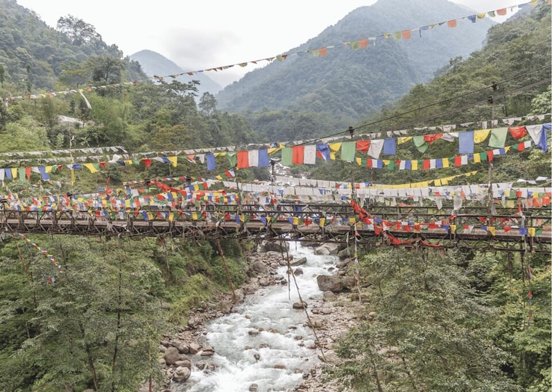 Picture 8 for Activity From Gangtok: Tsongmo Lake & Nathula Pass Day Trip 3