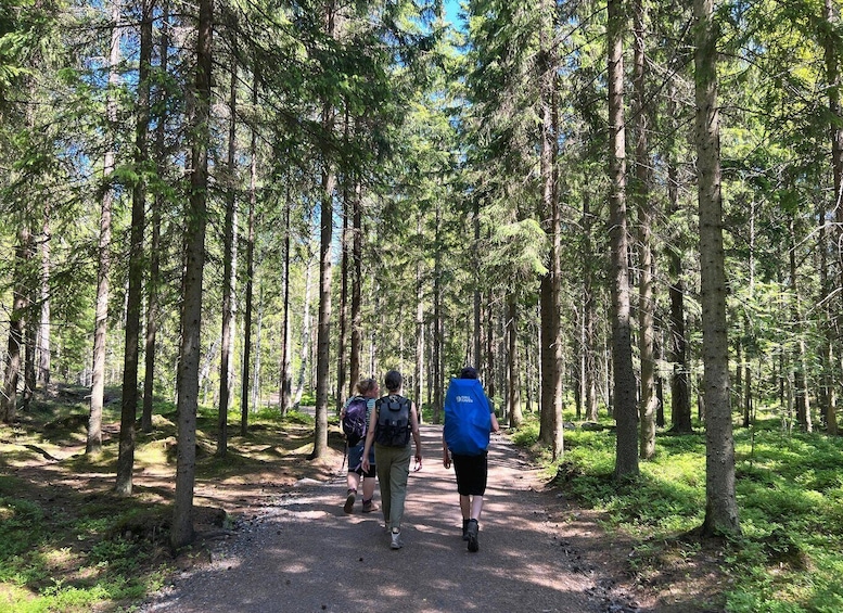 Metsäinen vaellusreitti, jolla on kolme vaeltajaa. 4