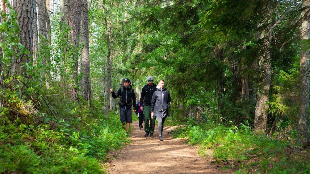 Ryhmä ihmisiä vaeltaa metsäpolulla, jota ympäröivät korkeat puut. 2