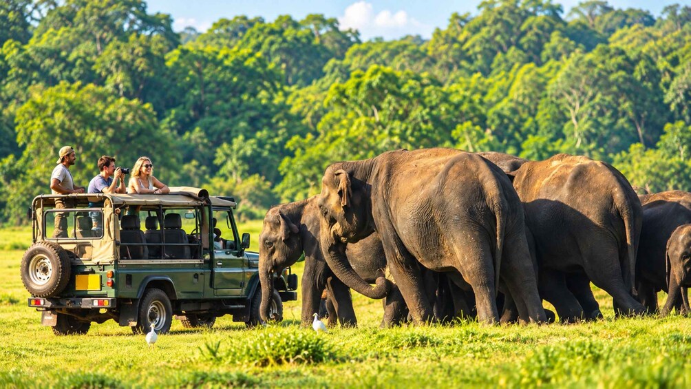 Minneriya National Park Premium Private Elephant Safari 1