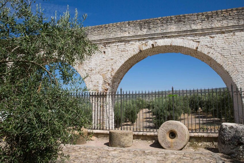 Picture 19 for Activity Baeza: Oil Tourism at Hacienda La Laguna 2