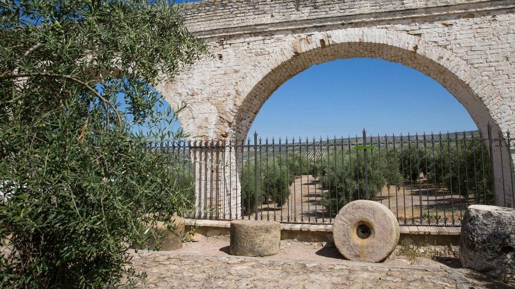 Picture 19 for Activity Baeza: Oil Tourism at Hacienda La Laguna 2