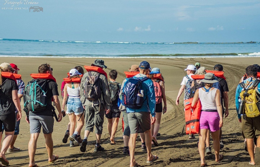 Picture 9 for Activity Uvita: Whale & Dolphin Watching Boat Trip w/ Drinks & Snacks 3
