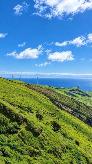 A green hillside with wind turbines and a clear blue sky. 5