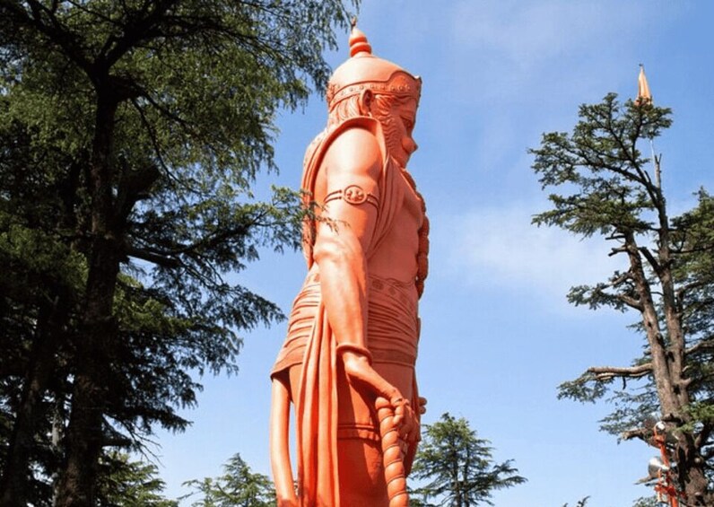 Picture 4 for Activity Mcleodganj Nature Trek (3 Hours Guided Walking Tour) 4