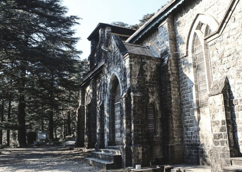 Picture 2 for Activity Mcleodganj Nature Trek (3 Hours Guided Walking Tour) 5