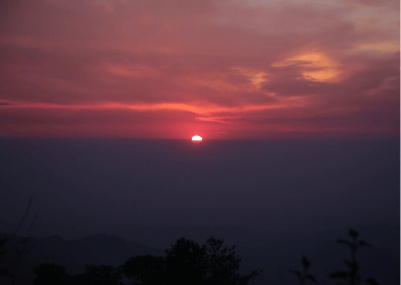 Picture 5 for Activity Mcleodganj Nature Trek (3 Hours Guided Walking Tour) 2