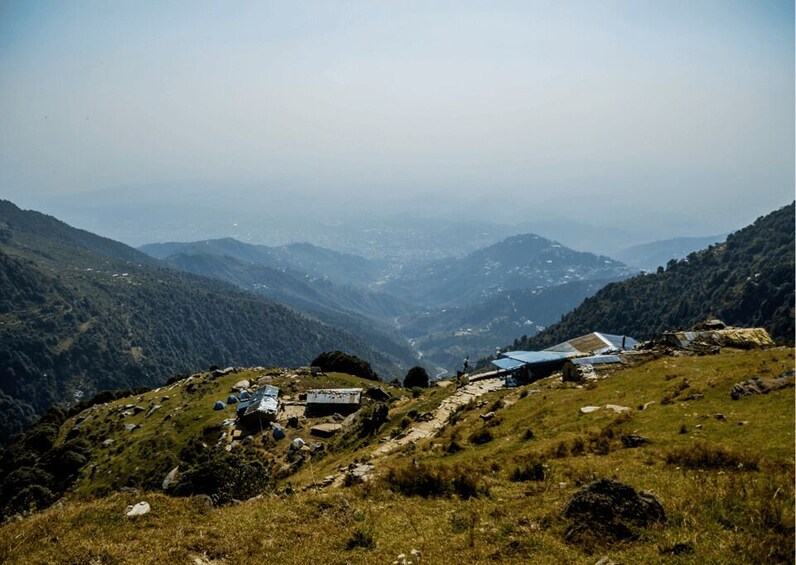 Picture 7 for Activity Mcleodganj Nature Trek (3 Hours Guided Walking Tour) 3