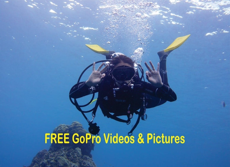 Panama City Beach: Beginners Scuba Diving Tour 1