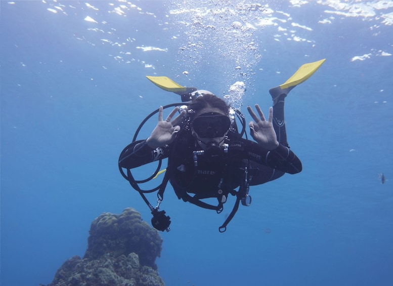 Panama City Beach: Beginners Scuba Diving Tour 1