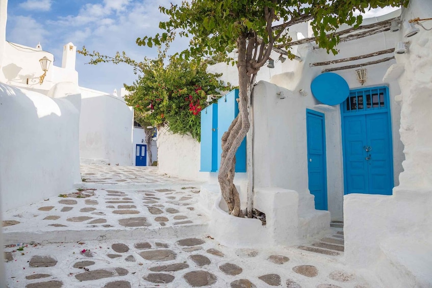 Picture 13 for Activity From Athens: 2-Day Santorini and Mykonos Trip 5