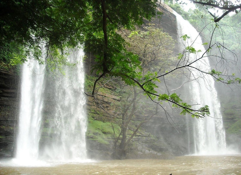 A waterfall surrounded by lush greenery. 1