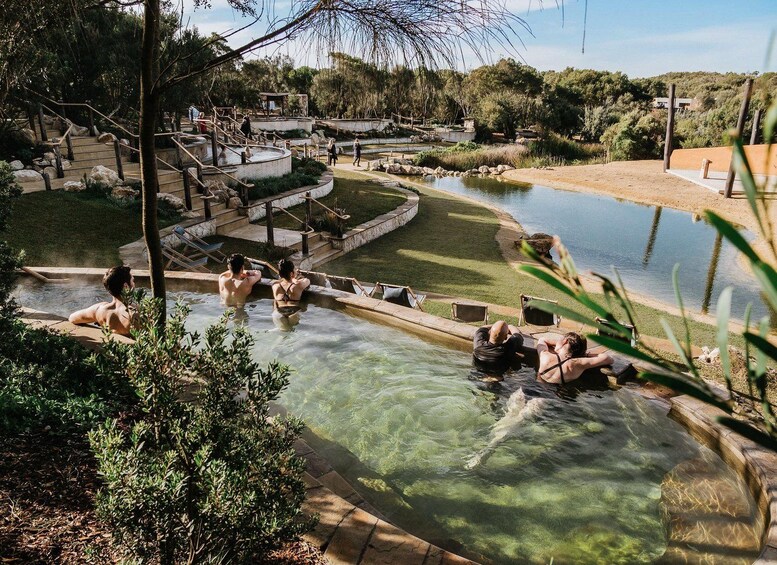 A hot spring area with people relaxing in the water, surrounded by trees and a small pond. 3