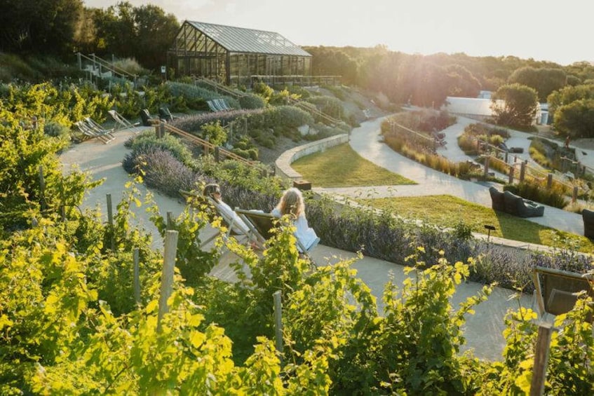 A garden with a greenhouse, winding paths, and various plants. 4