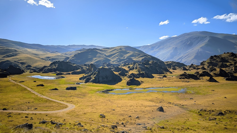 Picture 6 for Activity From Salta: Cachi and Los Cardones National Park Tour 5