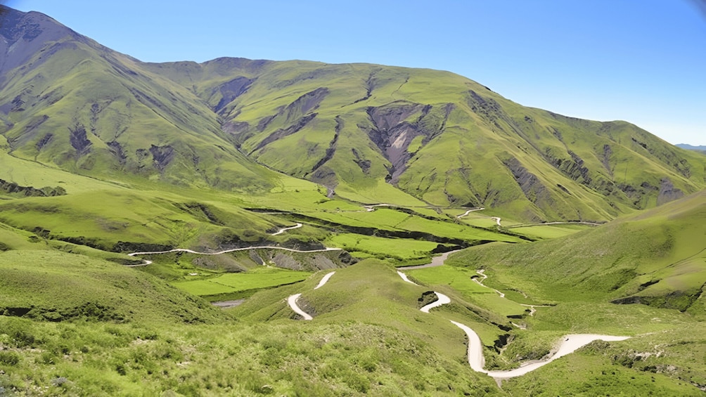 Picture 3 for Activity From Salta: Cachi and Los Cardones National Park Tour 4
