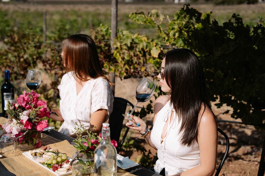 Picture 2 for Activity Guided Vineyard Tour with Wine Tasting at Rondo del Valle 1