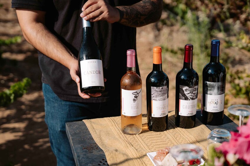 Picture 9 for Activity Guided Vineyard Tour with Wine Tasting at Rondo del Valle 2
