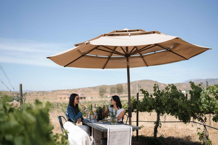 Picture 1 for Activity Guided Vineyard Tour with Wine Tasting at Rondo del Valle 3