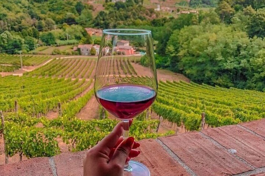 A hand holding a glass of red wine with a vineyard in the background. 5