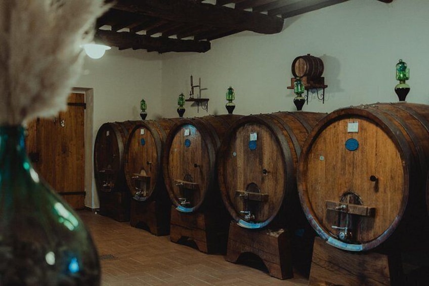 Lucca: Wine Tasting Experience - Tenuta Adamo Winery 2