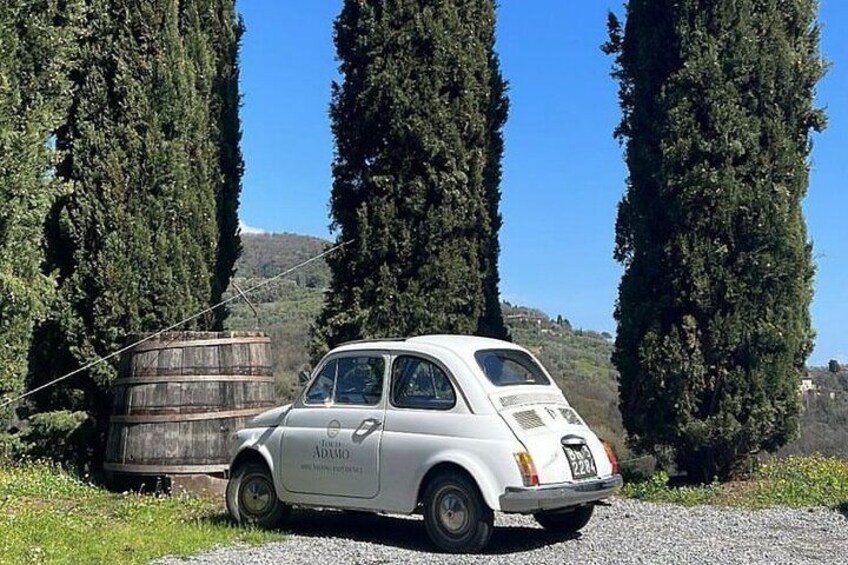 Lucca: Wine Tasting Experience - Tenuta Adamo Winery 2