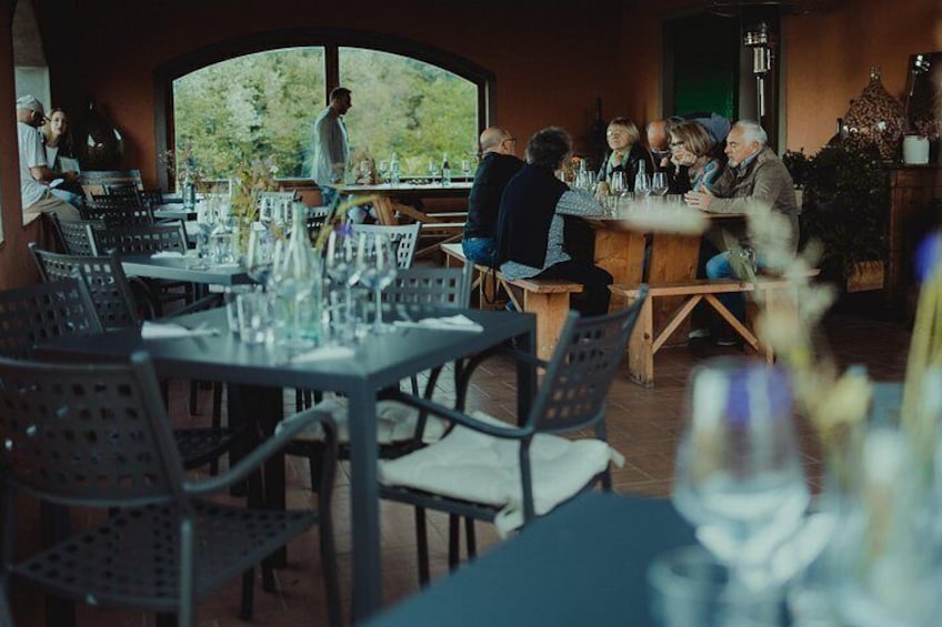 Lucca: Wine Tasting Experience - Tenuta Adamo Winery 3