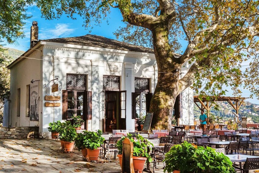 A white building with columns, potted plants, and outdoor seating. 5