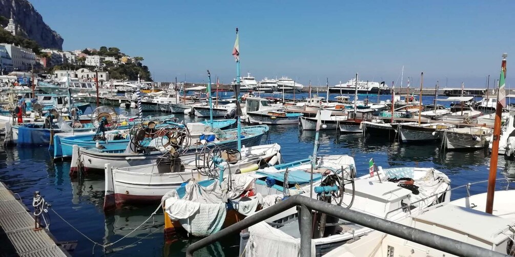 Picture 12 for Activity Capri: Private Island Boat Tour with Snorkeling and Swimming 4