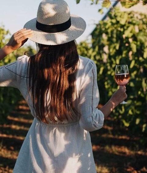 From Colonia: Exclusive Tour to Carmelo & Wineries 2