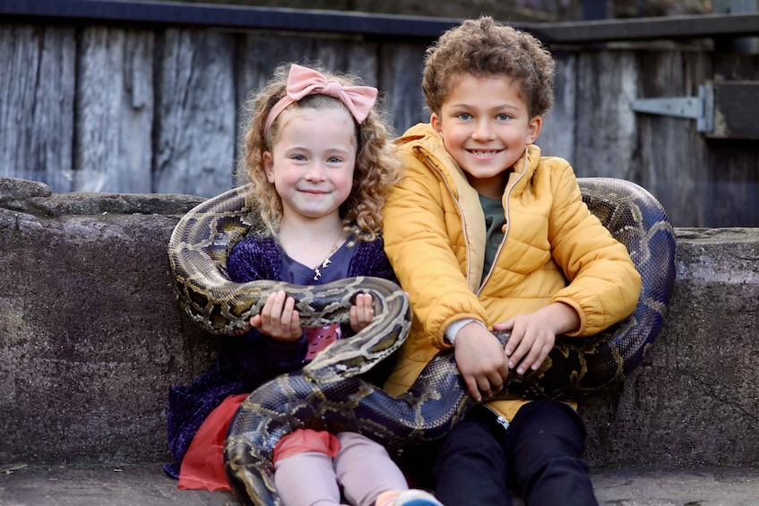 Picture 5 for Activity Somersby: Australian Reptile Park Day Pass - 9am to 5pm 2