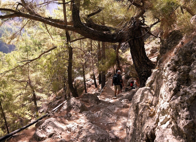 Picture 15 for Activity From Chania: Samariá Gorge Guided Hike 3