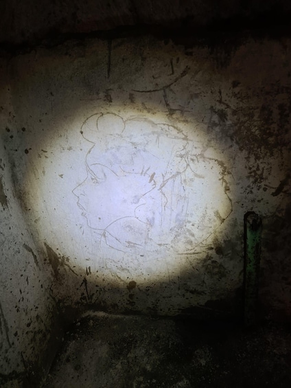 A dimly lit cave with a faint outline of a prehistoric animal on the wall. 1