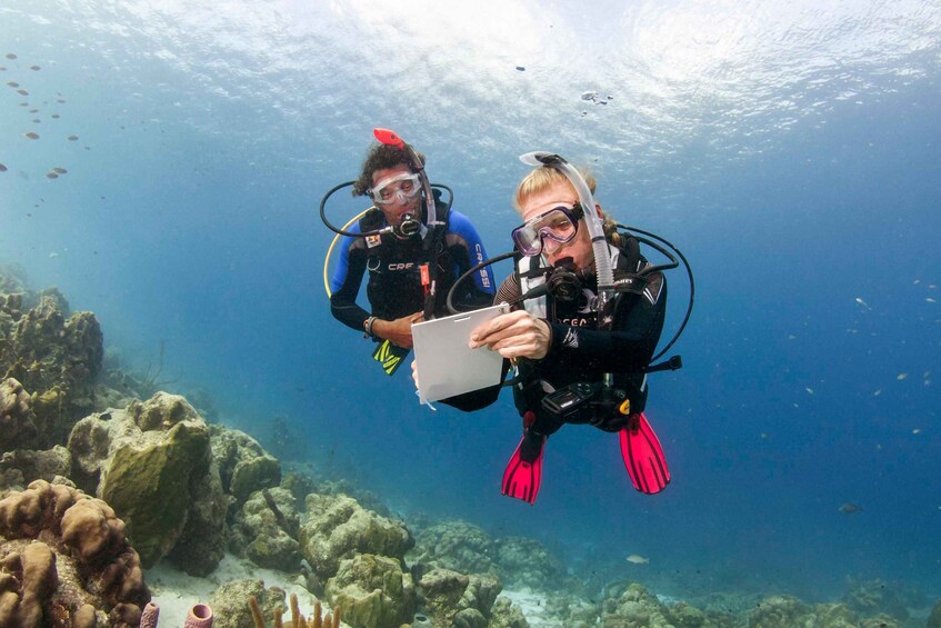 Two scuba divers underwater, surrounded by coral formations and marine life. 1