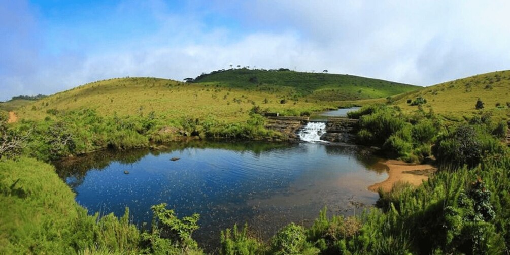 Picture 3 for Activity Comprehensive Excursion: Horton Plains and Pedro Tea Factory 2