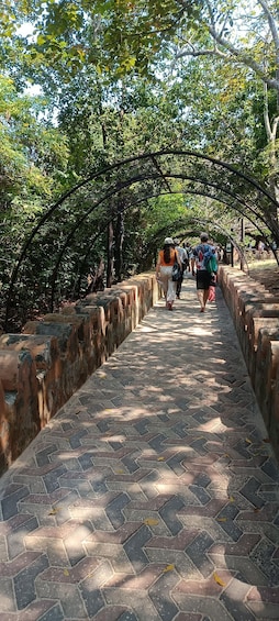 Picture 49 for Activity Zanzibar; Prison Island, Nakupenda, StoneTown Tour with BBQ 5