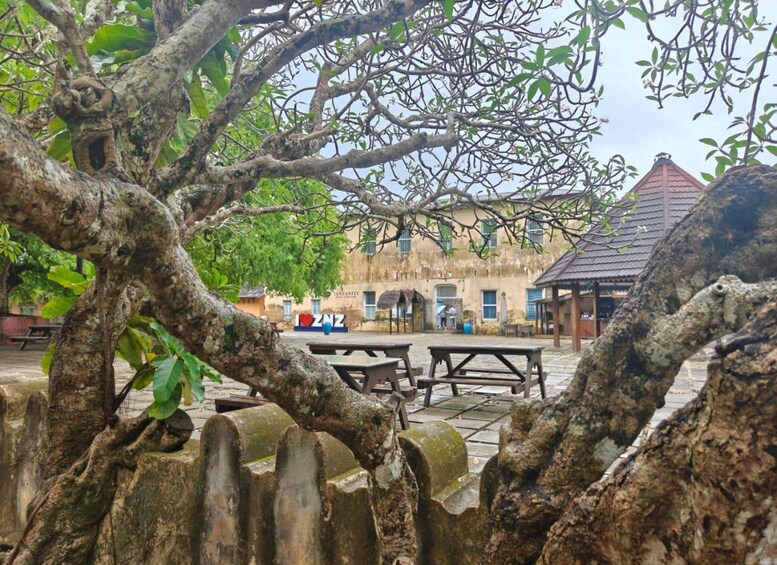 A rustic outdoor area with a stone wall, a wooden table, and a building with a tiled roof. 4