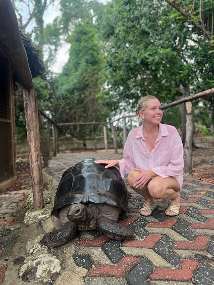 A person crouching next to a large tortoise on a brick pathway. 5