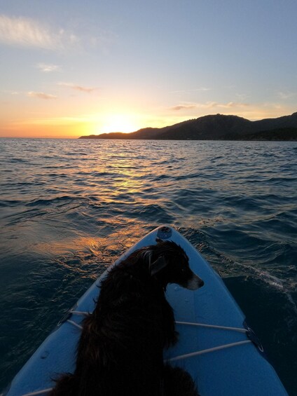 Picture 3 for Activity Guided Stand Up Paddle Tour at Villasimius 2