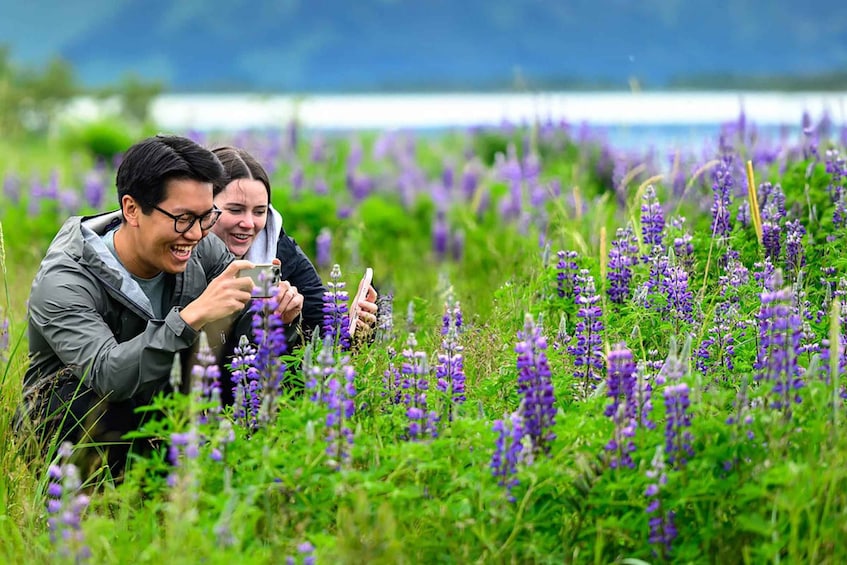 Anchorage: Turnagain Arm Highlights Photography Day Trip 1