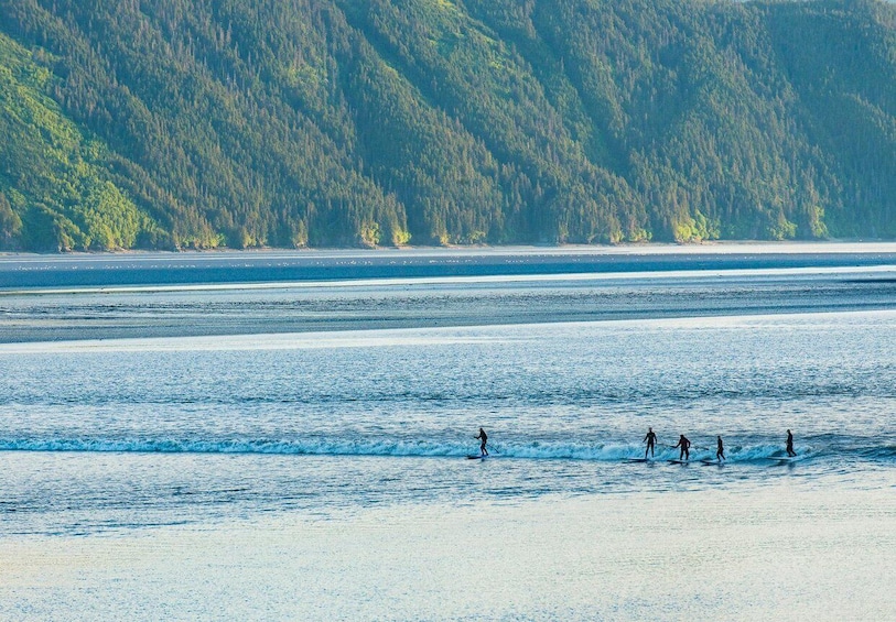 Picture 15 for Activity Anchorage: Turnagain Arm Highlights Photography Day Trip 2