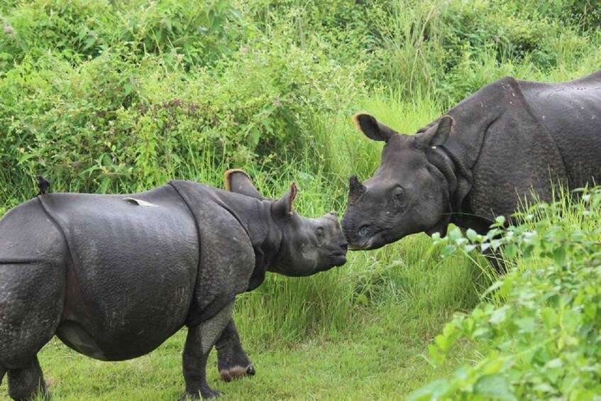 Picture 2 for Activity Comfortable Private Transfer from Pokhara to Chitwan 2
