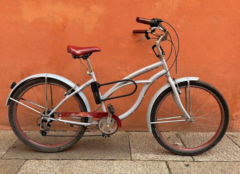 Bologna: Bike Rental 1