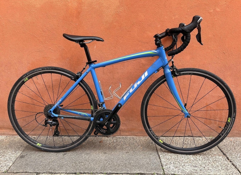 Picture 6 for Activity Bologna: Bike Rental 5